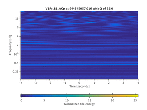 944545057.016_V1:Pr_B1_ACp_8.00