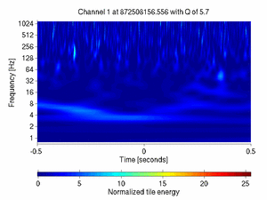 872508156.55599999_V1:Bs_SL_QN_ACh_1.00